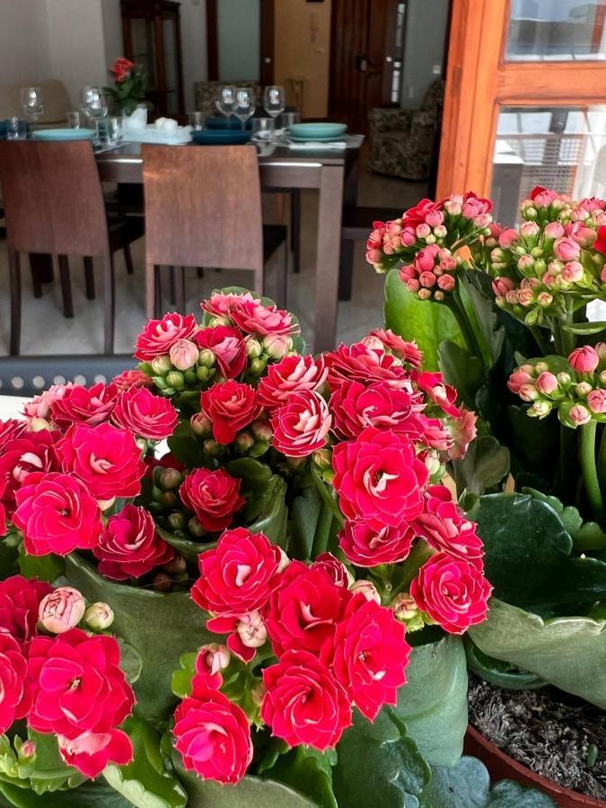 A Casa Di Nonna Lejlighed Pescara Eksteriør billede